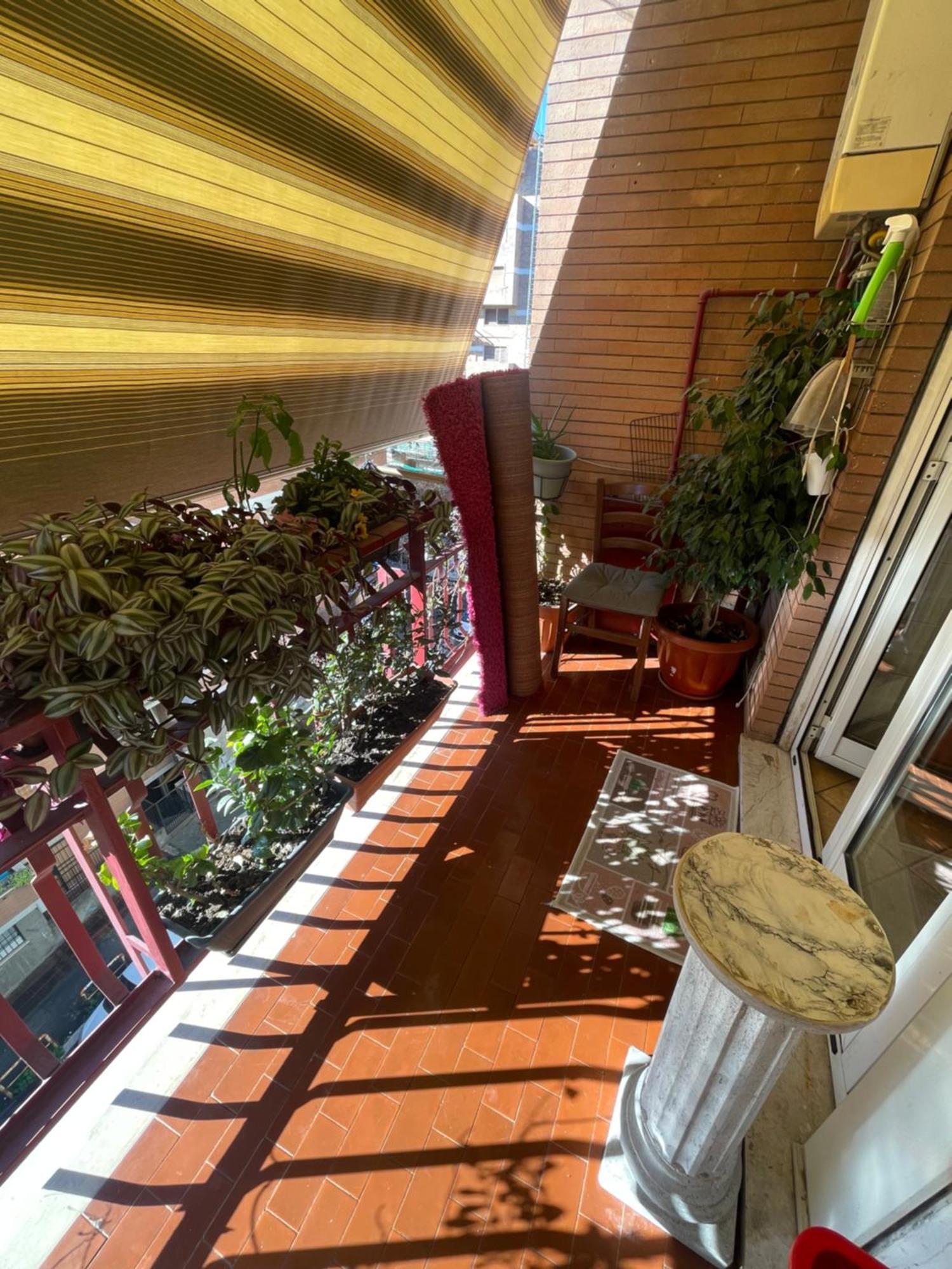 Exotic Apartment Roma Esterno foto
